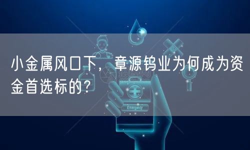 小金属风口下，章源钨业为何成为资金首选标的？